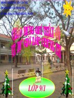 giáo án tham khảo bồi dưỡng sinh học lớp 9 bài thực hành quan sát thường biến (3)