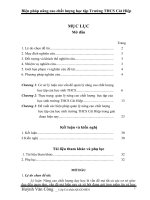 SKKN biện pháp nâng cao chất lượng học tập trường THCS Cát Hiệp