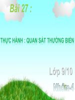 giáo án tham khảo bồi dưỡng sinh học lớp 9 bài thực hành quan sát thường biến (12)