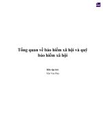 Tổng quan về Bảo hiểm xã hội và quỹ bảo hiểm xã hội
