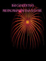 Báo cáo kiểm toán Phương pháp kiểm toán tuân thủ