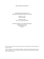 the mirage of exchange rate regimes for emerging market countries