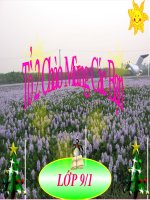 giáo án tham khảo bồi dưỡng sinh học lớp 9 bài thực hành quan sát thường biến (1)