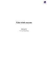 Tài liệu Giáo trình enzyme
