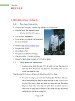 Phân tích báo cáo tài chính công ty cổ phần công nghiệp Cao Su Miền Nam