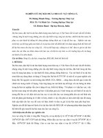 Nghiên cứu dự báo mưa cho lưu vực sông cả