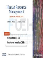 human resources management _ section 6-compensation and employee benefits