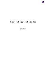 Giáo trình lập trình căn bản