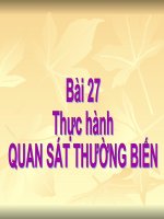 giáo án tham khảo bồi dưỡng sinh học lớp 9 bài thực hành quan sát thường biến (7)