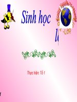 giáo án tham khảo bồi dưỡng sinh học lớp 9 bài thực hành quan sát thường biến (14)