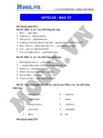 luyện tập về 25 quy tắc sử dụng mạo từ