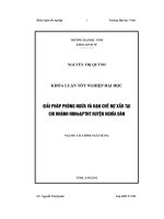 giải pháp phòng ngừa và hạn chế nợ xấu tại chi nhánh nhn&ptnt huyện nghĩa đàn