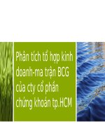 Đề tài 9 quản trị chiến lươc: Phân tích tổ hợp kinh doanh ma trận BCG của công ty cổ phần chứng khoán tp HCM