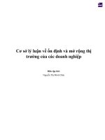 Cơ sở lý luận về ổn định và mở rộng thị trường của các doanh nghiệp