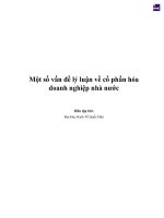 Một số vấn đề lý luận về cổ phần hóa doanh nghiệp nhà nước
