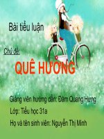 Tiểu luận về quê hương HUYỆN tân UYÊN bắc GIANG