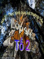 giáo án tham khảo bồi dưỡng sinh học lớp 9 bài thực hành quan sát thường biến (13)