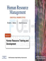 human resources management _ section 4-training and development