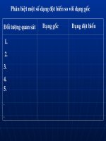 quan sát một số đột biến