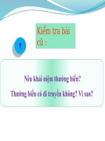 giáo án tham khảo bồi dưỡng sinh học lớp 9 bài thực hành quan sát thường biến (1)