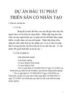tiểu luận lập phân tích dự án đầu tư _ dự án đầu tư phát triển sân cỏ nhân tạo