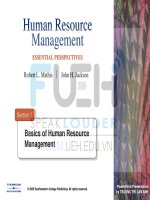 human resources management _ section 1-basics of hrm