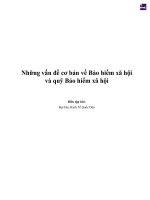 Những vấn đề cơ bản về bảo hiểm xã hội và quỹ bảo hiểm xã hội