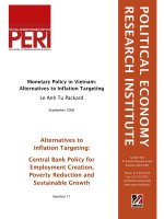 monetary policy in vietnam alternatives to inflation targeting