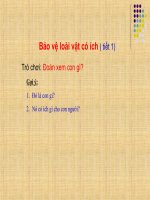 bài giảng đạo đức 2 bài 14 bảo vệ loài vật có ích