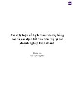 Cơ sở lý luận về hạch toán tiêu thụ hàng hóa và xác định kết quả tiêu thụ tại các doanh nghiệp kinh doanh