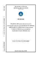 ứng dụng ahp (analytic hierarchy process) và gis (geographic  information system) đánh giá sự thích nghi của thông hai lá (pinus merkusii)  và keo lá tràm (acacia auriculiformis)  tại huyện kuin, tỉnh đắc lắc