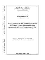 nghiên cứu sinh trưởng và đánh giá hiệu quả rừng trồng keo lai(acacia mangium x a (acacia mangium x acaciauriculiformis) tại huyện m''đrak, tỉnh đắc lắc