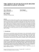 the choice of exchange-rate regime and speculative attacks