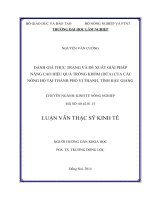 Đánh giá thực trạng và đề xuất giải pháp nâng cao hiệu quả trồng dứa (khóm) của các nông hộ tại thành phố Vị Thanh, Tỉnh Hậu Giang