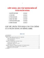 PHÂN TÍCH BÁO CÁO TÀI CHÍNH  CỦA NGÂN HÀNG AN BÌNH (ABB)