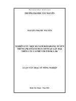nghiên cứu một số nấm đối kháng tuyến trùng pratylenchus coffeae gây hại trên cây cà phê vối ở đắc lắc