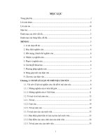 nghiên cứu trí tuệ cảm xúc của sinh viên trường đh tây nguyên