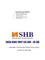 PHÂN TÍCH BÁO CÁO TÀI CHÍNH CỦA NGÂN HÀNG SHB năm 2012