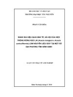 đánh giá hiệu quả kinh tế xã hội của việc trồng keo lai acacia mangium x acacia