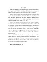 Tiểu luận sự vận dụng của đảng và nhà nước ta về chính sách đối với việt kiều yêu nước hiện nay