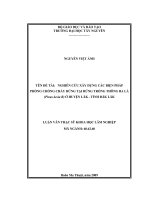 nghiên cứu xây dựng biện pháp phòng chống cháy rừng tại rừng trồng thông ba lá (pinus kesia r) tại huyện lăk, tỉnh đăk lăk