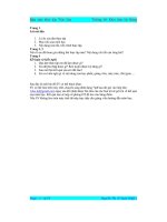 Báo cáo thực tập tại khu đất trống trước cổng công viên nước Đà nẵng