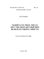 Nghiên cứu phẫu thuật múc nội nhãn kết hợp độn bi silicon trong chóp cơ