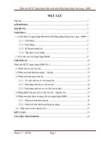 Phân tích báo cáo tài chinh Ngân hàng Phát triển nhà Đồng bằng Sông Cửu Long  MHB