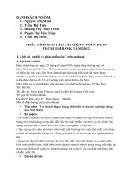 PHÂN TÍCH BÁO CÁO TÀI CHÌNH NGÂN HÀNG TECHCOMBANK NĂM 2012.