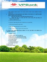 PHÂN TÍCH BÁO CÁO TÀI CHÍNH NGÂN HÀNG VIỆT NAM THỊNH VƯỢNG (VPBANK)