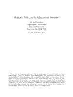 monetary policy in the information economy