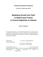 modelling growth and yield of dipterocarp forests in central highlands of vietnam