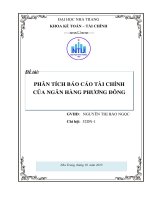 PHÂN TÍCH BÁO CÁO TÀI CHÍNH CỦA NGÂN HÀNG PHƯƠNG ĐÔNG