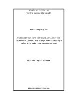 nghiên cứu hạt nano chitosan làm tá chất cho vacxin cúm a h1n1 và thử nghiệm đáp ứng miễn dihcj trên chuột nhắt trắng   mus musculus swiss